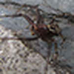 Profile Picture of James Barton (@laserjim24) on Flickr