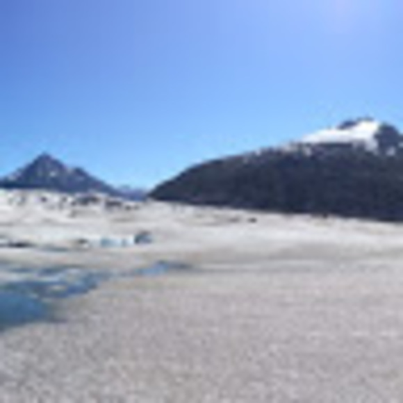 Profile Picture of Mario Spagnuolo (@mariospagnuolo) on Poshmark