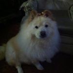 Profile Picture of Mark Brown (@mbrownberkshires) on Instagram