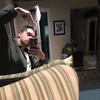Profile Picture of William Perron (@@paswill) on Tiktok