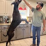 Profile Picture of Kris Dunaway (@k.dunaway) on Instagram