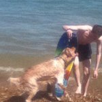 Profile Picture of Paul Earle (@paul_earle) on Instagram