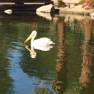 Profile Picture of Nancy Shewfelt (@nancy.shewfelt.3) on Facebook