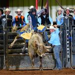 Sean Garner - Instagram Profile Picture of Sean Garner (@sean90garner) on Instagram