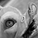 Profile Picture of Lamentable Error (@lamentable error) on Flickr