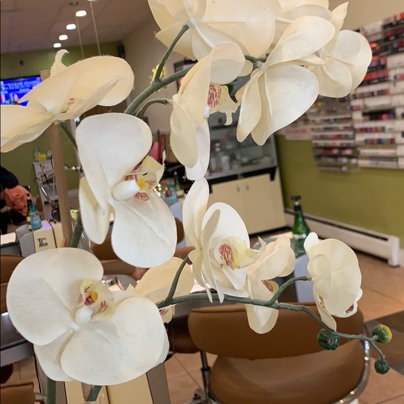 Profile Picture of Hoang Phan (@hoangphan02) on Poshmark