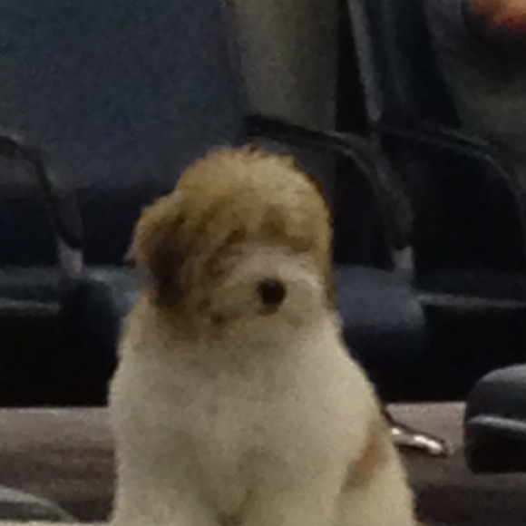 Stef Olague - Poshmark Profile Picture of Stef Olague (@solague) on Poshmark