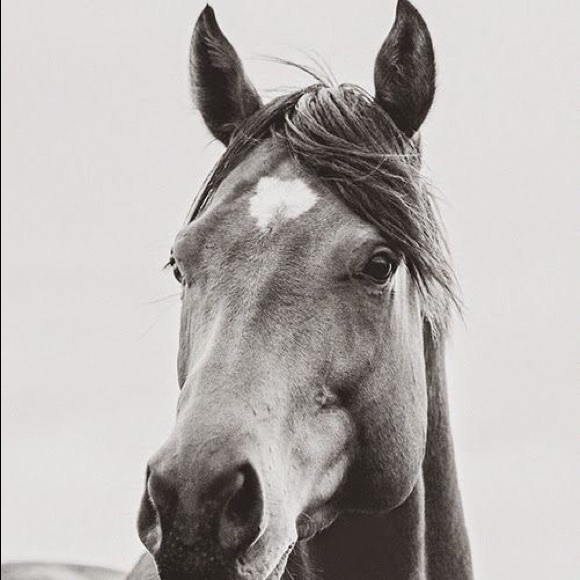 Profile Picture of Lucia Watchman (@manuel71) on Poshmark