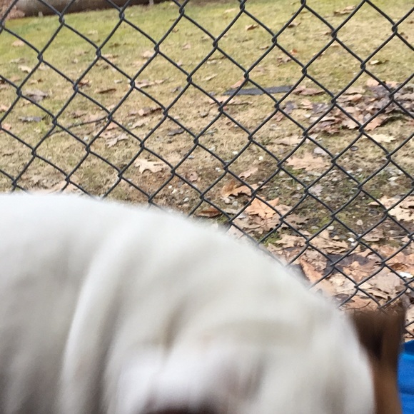 Keith Spear - Poshmark Profile Picture of Keith Spear (@kspear92) on Poshmark