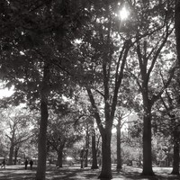 Profile Picture of Robin Malcolm (@robin-malcolm-1) on Quora