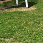 Profile Picture of Brian Perry (@brianperry63111) on Instagram