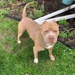 Profile Picture of Charles Bowman (@charlie_g8gt) on Instagram