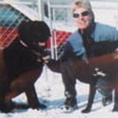 Profile Picture of Kelly Brandt (@brandt2) on Twitter