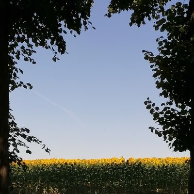 Profile Picture of Jean Exantus (@Jeanexantus5) on Twitter