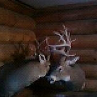 Pat Conley - Twitter Profile Picture of Pat Conley (@Sd_mcgee_pat) on Twitter