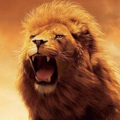 Profile Picture of Sikander Singh (@sikandersingh94) on Twitter