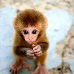 Bob wyatt - Instagram Profile Picture of Bob wyatt (@wyatt2075) on Instagram