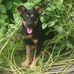 Profile Picture of Sampson Mia (@marsha.sampson.58) on Facebook