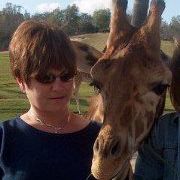 Profile Picture of Debbie Griffiths (@debbgrif) on Pinterest