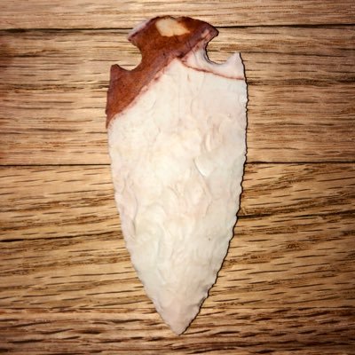 Profile Picture of Timmy Mattingly (@kylemattingly) on Twitter