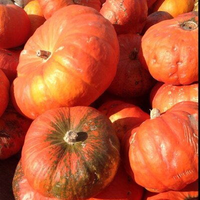 Profile Picture of Margaret (@@MgiJames) on Twitter