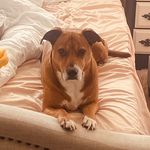 Profile Picture of Kinga Bednarczyk (@kinga_bednarczyk) on Instagram