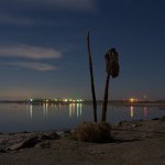 Profile Picture of Chris Gillis (@thelastdaysofleonard) on Instagram