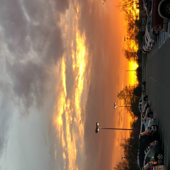 Elle Bails - Poshmark Profile Picture of Elle Bails (@robrondie) on Poshmark