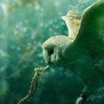 Максим - Instagram Profile Picture of Максим (@zinovyevan3g) on Instagram