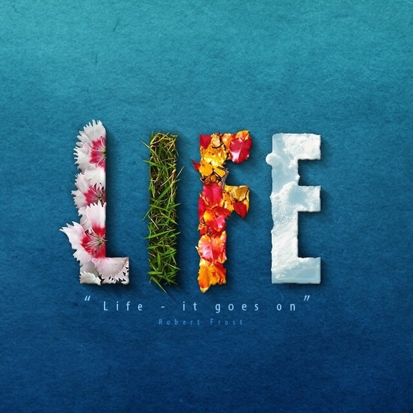 Oe Levinski - Poshmark Profile Picture of Oe Levinski (@ilovecats_hi) on Poshmark