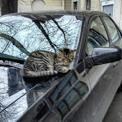 Profile Picture of Alex Kuzmich (@alexkuzmich5761) on Youtube