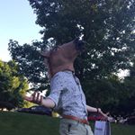 Profile Picture of David Strauch (@classicdavethings) on Instagram