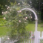 Profile Picture of Robin Gottlieb (@rhg999) on Instagram