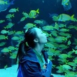 Profile Picture of Sijia Li (@sijiaprincess) on Instagram