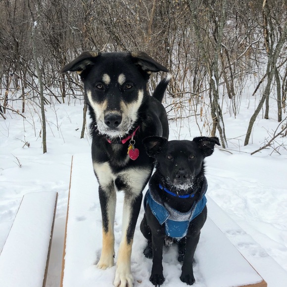 Profile Picture of Chandra Bunbury (@cbun1962) on Poshmark