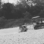 Profile Picture of michael7719s (@pomponiomichael) on Instagram