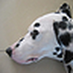 Profile Picture of Guo Xiao (@Guo Xiao & Zhang Liyan) on Flickr