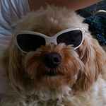 Profile Picture of adam leathers (@ad66245) on Flickr