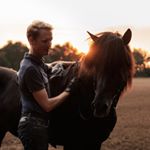 Profile Picture of Norwegian Equestrian🇳🇴 (@martin_ron) on Instagram