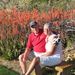 Profile Picture of Sandy Sipe (@sandysipe) on Pinterest