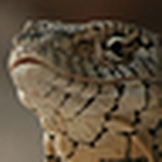 Profile Picture of Jonny Hodgetts (@jonny 10) on Flickr