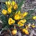 Profile Picture of Julia Rieck (@jkr83) on Pinterest
