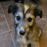 Profile Picture of jeni-may-Hughes xx (@jen_jen132) on Instagram