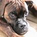 Profile Picture of Jason M.Horn (@jason.m.horn.1) on Facebook