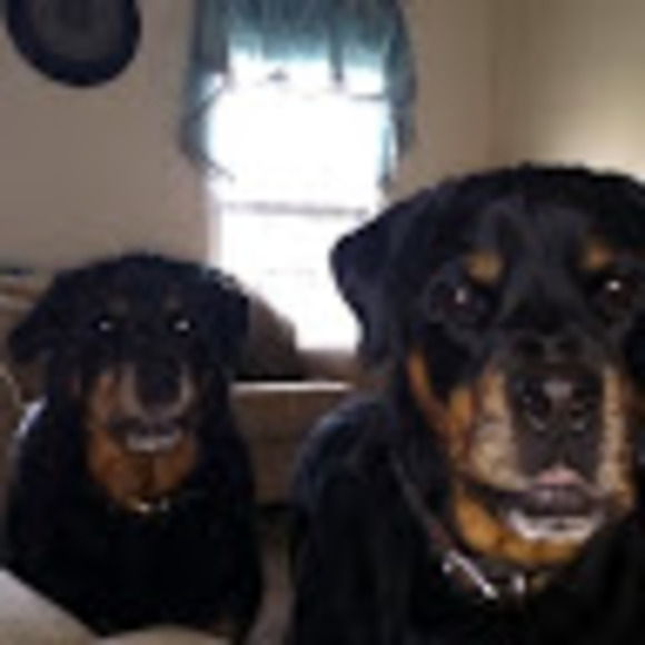 Profile Picture of David Ambrosia (@trig1063) on Poshmark