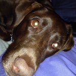 Profile Picture of keithshuman (@keithshuman) on Instagram