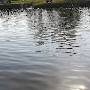 Profile Picture of Tadha (@tadha1922) on Youtube