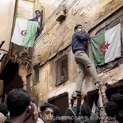 Profile Picture of Djamel Mechkour (@djamelmechkour3) on Twitter