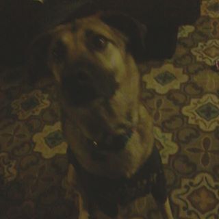 Profile Picture of Owen Ocallaghan (@owen.ocallaghan.794) on Facebook