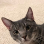 Profile Picture of Jeff Lancaster (@@seppo4679) on Tiktok